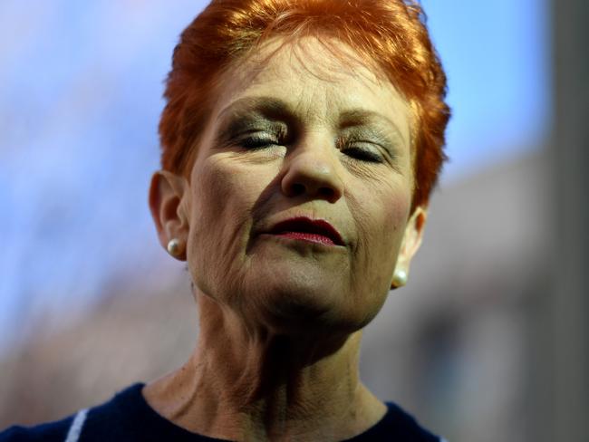 One Nation leader Pauline Hanson at a press conference at Parliament House today. Picture: AAP