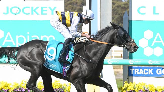 Sea King (GB) ridden by Declan Bates wins the Apiam Bendigo Cup at Bendigo Racecourse on October 30, 2024 in Bendigo, Australia. (Photo by Brett Holburt/Racing Photos via Getty Images)