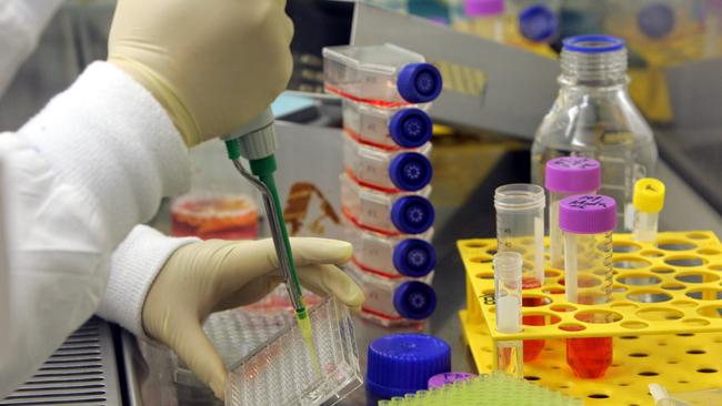 Melbourne scientists have made a major blood cancer discovery.