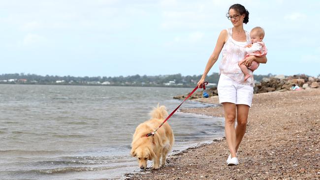 There will be no off-leash dog park plans for the bayside any time soon. Picture: Renae Droop