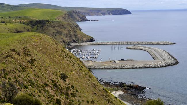 Wirrina Cove marina, seen from the cliff top.