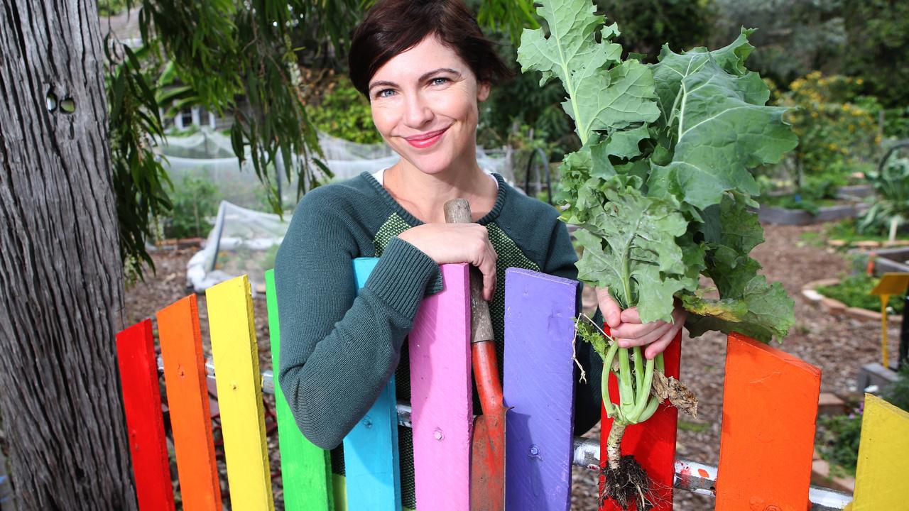 Community garden theft sparks camera plan | The Courier Mail