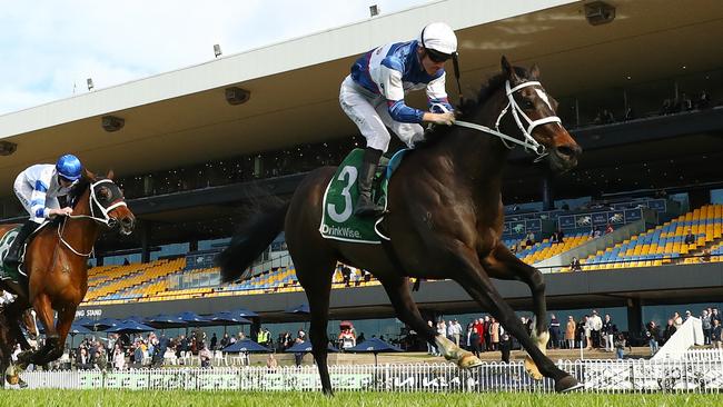 Speycaster taking out the Stayer's Cup on Saturday at Rosehill Gardens during "McKell Cup Day" - Sydney Racing at Rosehill Gardens on June 29, 2024 in Sydney, Australia. (Photo by Jeremy Ng/Getty Images)