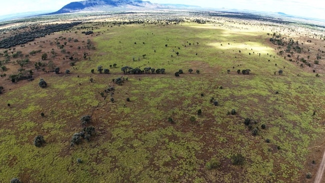 Gattonvale Holding in Collinsville was sold by the Cox family for $77.75m in August by Shepherdson &amp; Boyd (Qld).