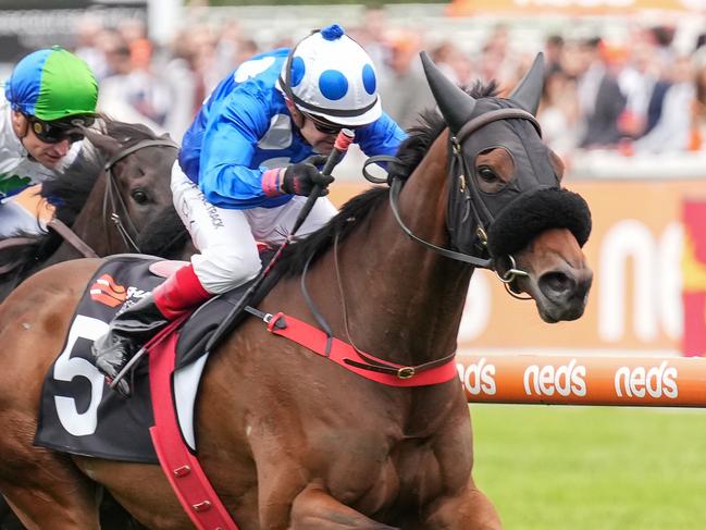 Wrote To Arataki will attempt to get back to winning form in Saturday's Group 3 Geoffrey Bellmaine Stakes at Sandown. Picture: Racing Photos via Getty Images.