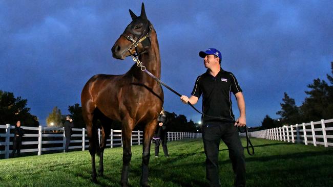 Winx has thrived since arriving in Melbourne and is primed for her Flemington debut on Saturday.