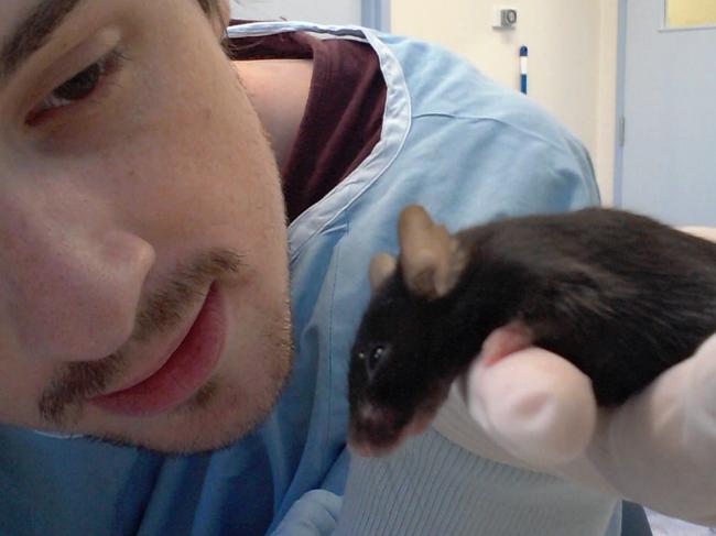 As a UniSA PhD student, Jackson Ryan killed 563 mice over four years. Wearing the typical sky-blue lab gown and latex gloves. Pictured: Supplied.