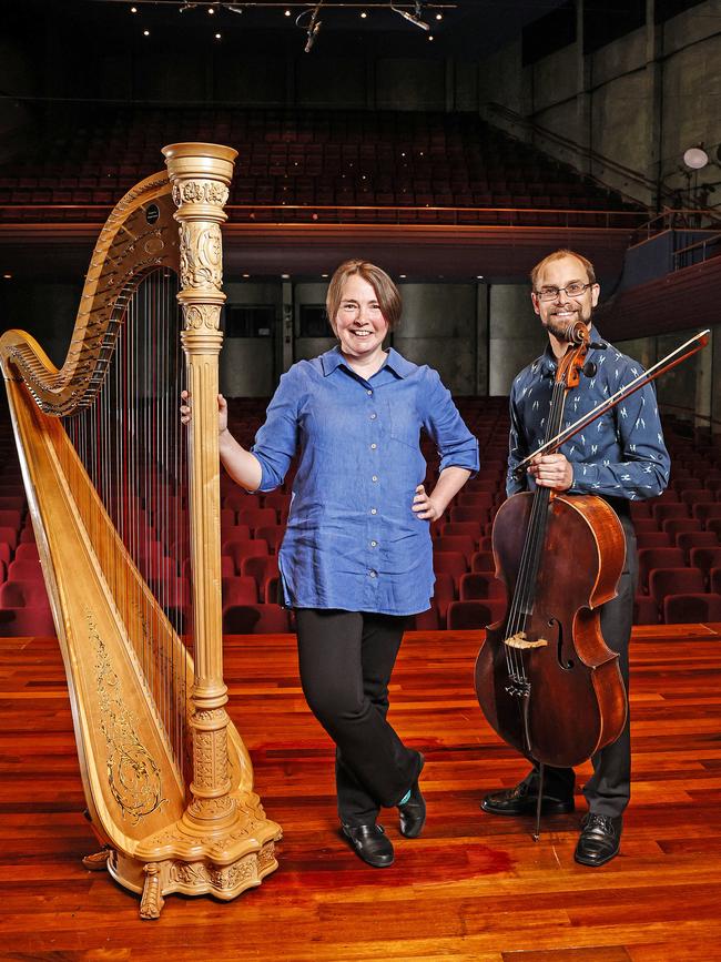 Harpist Meriel Owen and cellist Martin Penicka in 2021 Picture: Zak Simmonds