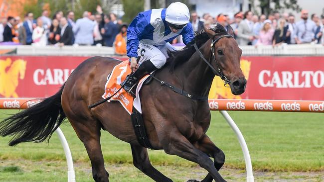 Alligator Blood’s future is under a cloud. Picture: Reg Ryan–Racing Photos via Getty Images