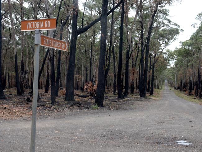 Ms McGuire’s body was discovered at State Forest Rd, Scarsdale. Picture: NCA NewsWire / Andrew Henshaw