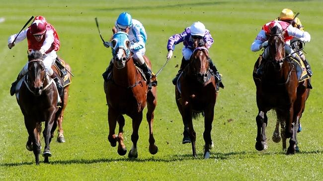 Darley horse Barbed (left) has been in top form for trainer Peter Snowden. Picture: Mark Evans