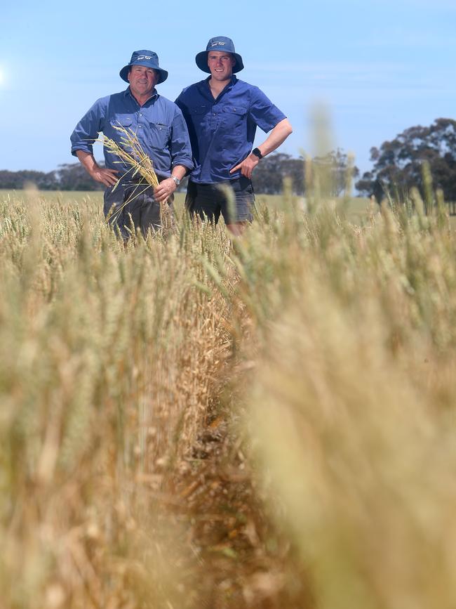 Graeme McCrow and his son Mitch, at Westmere. Picture: Yuri Kouzmin