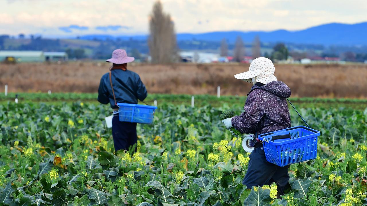 Migrant grants a ‘union membership drive’