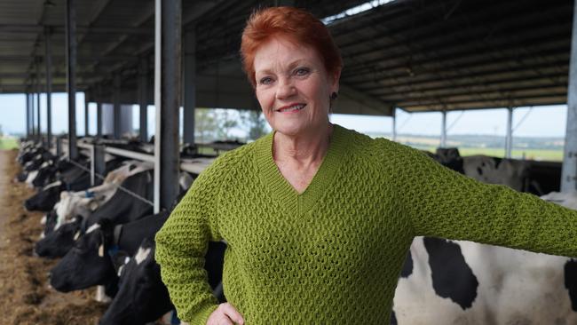 Pauline Hanson is likely to retain her seat with the help of preferences. Picture: Sean Bell