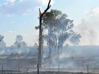 ASHES: The scene where a grass fire ripped through 123 hectares on Thursday, September 13, in Grantham. Picture: MEG BOLTON