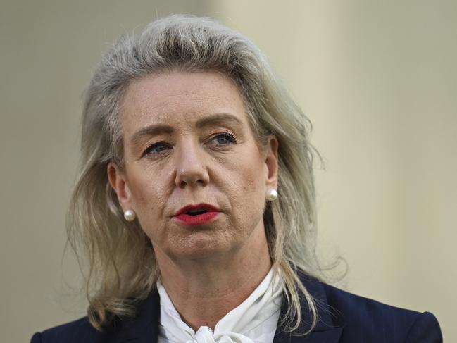 Senator Bridget McKenzie was leading the questioning. Picture: Martin Ollman