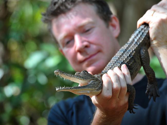 Dr Adam Britton and his wife discovered pigmy crocs are fighting against cane toad prey by tearing their back legs off.