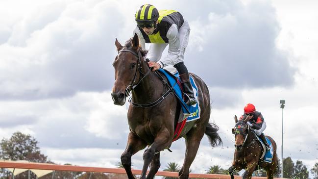 Party Crasher scores an easy win at Morphettville Parks on Saturday. Picture: Makoto Kaneko