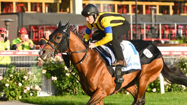 Japanese raider Prognosis finished runner-up in last year’s Cox Plate. Picture: Vince Caligiuri/Getty Images