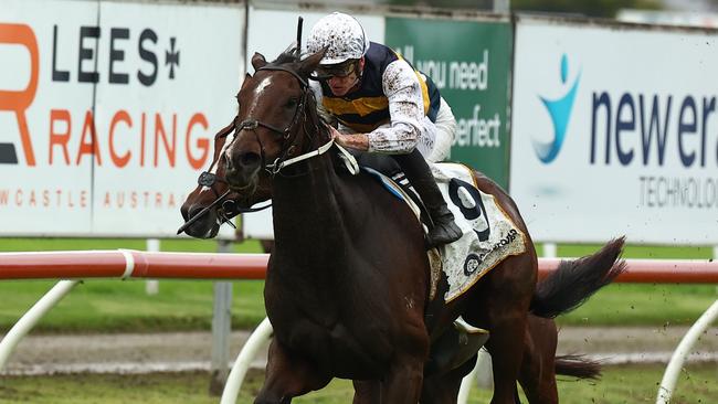 Hezashocka is aiming for back-to-back Gosford Gold Cups. Picture: Jeremy Ng/Getty Images.