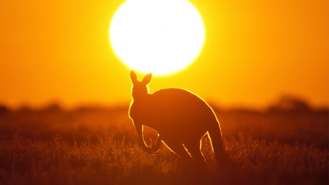 Australia Day celebrates nothing more than invasion and genocide.