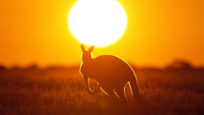 Australia Day celebrates nothing more than invasion and genocide.