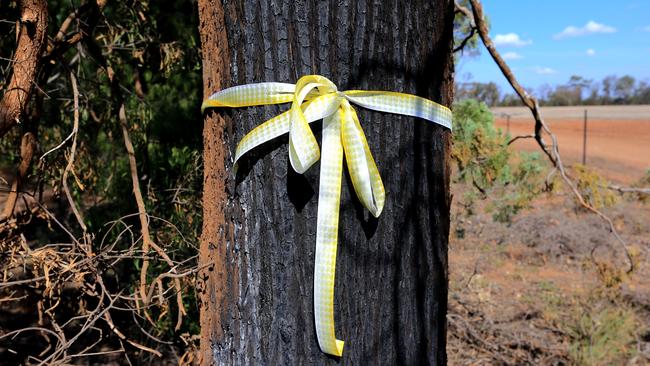 The ground on Whitton Stock Route Road in Cocoparra National Park where Stephanie Scott's body was found. Picture: Adam Taylor