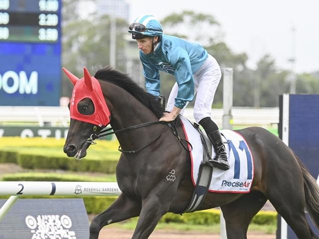 Fukubana resumes first-up for Matthew Dunn on Saturday. Picture: Bradley Photos