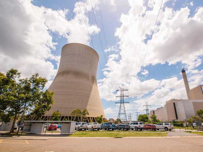 Callide C Power Station. Photo: Orin Lucke.