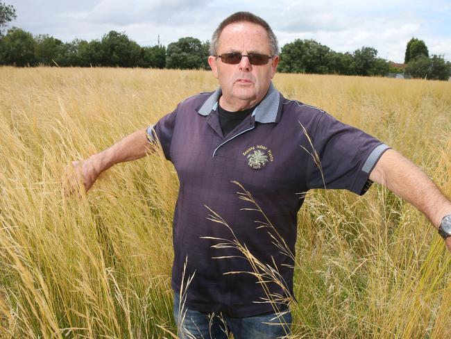 ATTENTION PICTURE TAKEN ON THE OLD SCHOOL GROUNDS. Kevin Carlson at the former Norlane High School where grass hasn't been slashed for about a year. Picture: Peter Ristevski