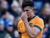 Update on Wallabies gun after ‘stinger’ shock