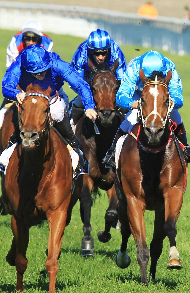 Form analyst Shayne O’Cass has made Emergent his best bet.