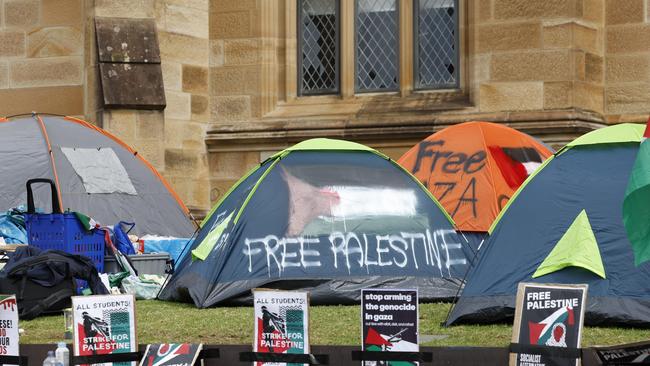 Tents pitched at the University of Sydney. Picture: Richard Dobson