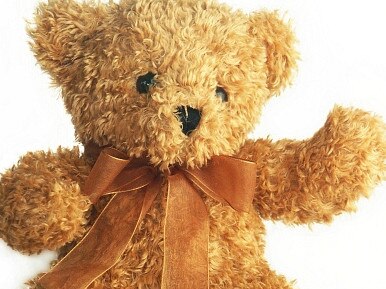 Teddy bear (from Flickr). Generic image.