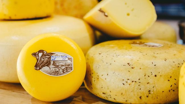 Different flavours: Mill Grove Dairy gouda cheese. Picture: Chloe Smith.