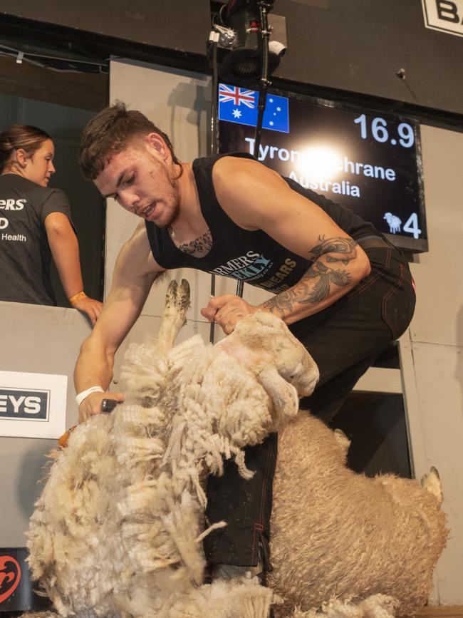 Tyron Cochrane, 18, from Goodooga, north-west New South Wales, shearing to his history-making Golden Shears Junior win in Masterton, New Zealand