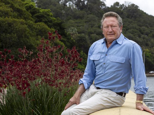 Andrew Forrest pictured along Swan River, Perth WA. Forrest has written a letter to Facebook CEO Mark Zuckerberg criticising his lack of action over fake ads.PHOTO: MARIE NIRME