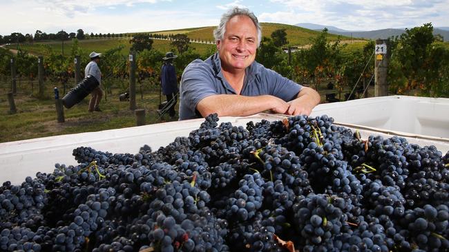 De Bortoli chief winemaker Steve Webber. Picture: Aaron Francis