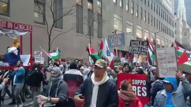 Pro-Palestinian protesters and New York police scuffle | news.com.au ...