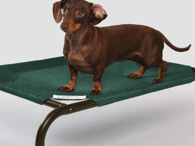 These are the best outdoor beds for your dog.