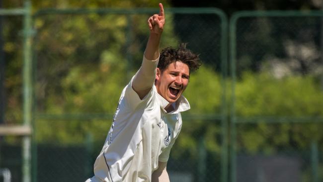 Michael Archer celebrates one his two post-tea scalps. Picture: Graeme Diggle