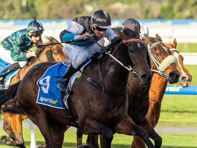 Lingani wins the Lightning Stakes at Morphettville. Picture: Makoto Kaneko