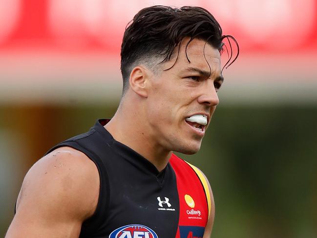 GOLD COAST, AUSTRALIA - SEPTEMBER 19: Dylan Shiel of the Bombers celebrates a goal during the 2020 AFL Round 18 match between the Essendon Bombers and the Melbourne Demons at Metricon Stadium on September 19, 2020 in Gold Coast, Australia. (Photo by Michael Willson/AFL Photos via Getty Images)