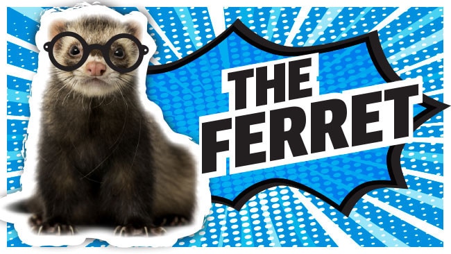 Slink-the-Ferret User Profile