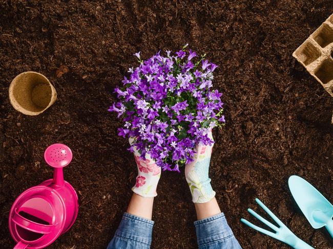 A well-kept garden is a source of joy.