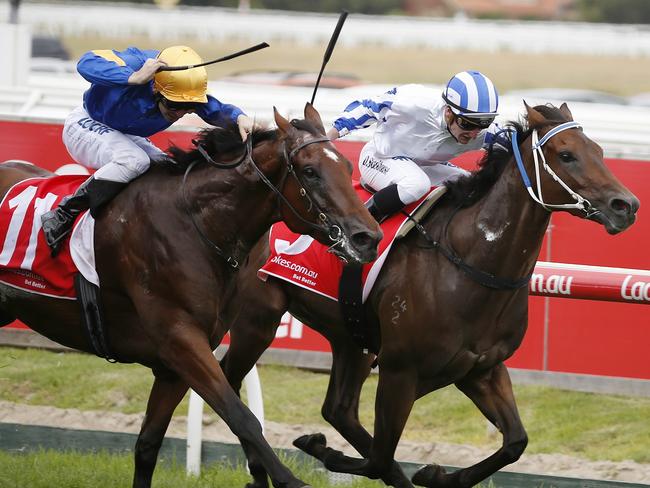 Santa Ana Lane (yellow cap) wins the Zedative Stakes at Caulfield earlier this year. Picture: Michael Klein