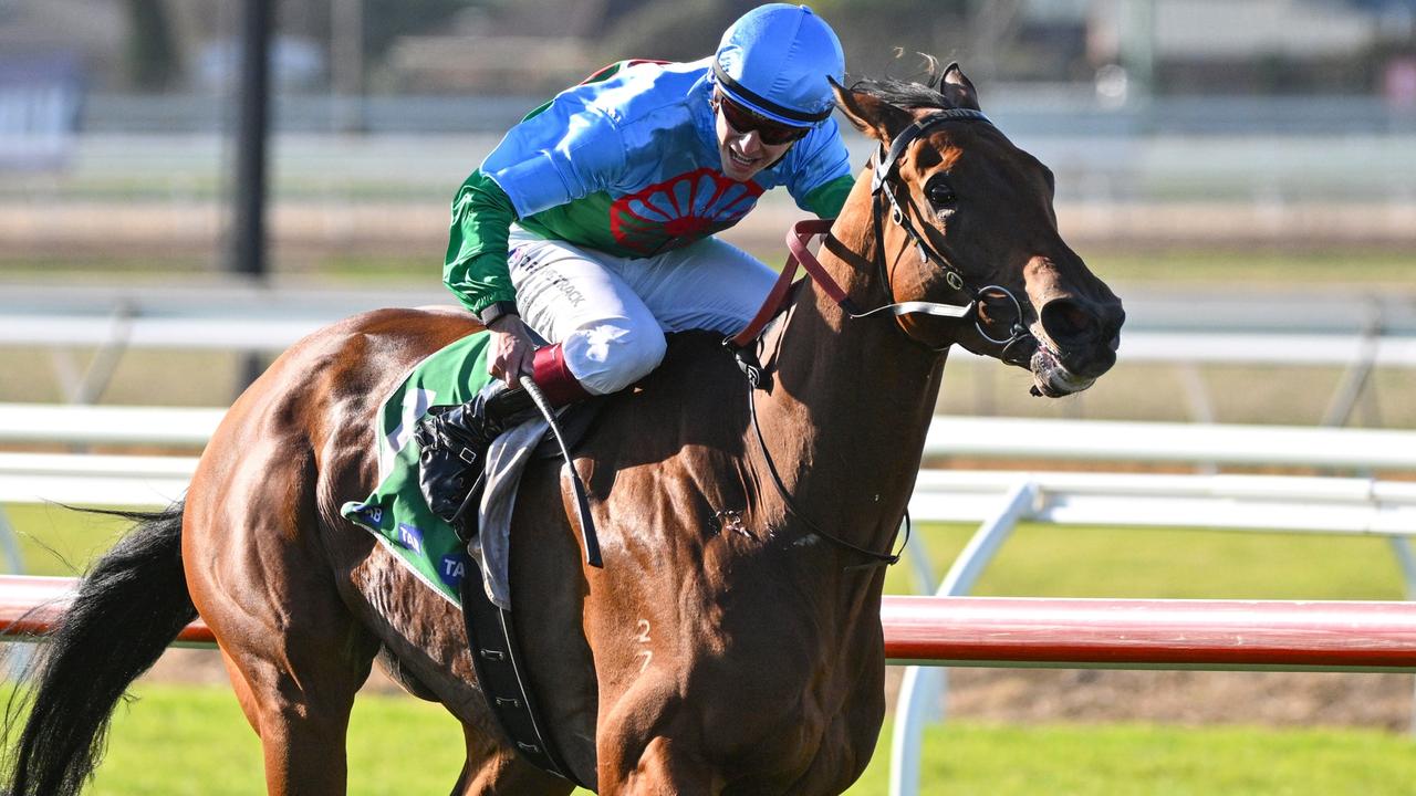 Tough galloper Tuvalu will be well suited back at Group 3 level at Caulfield on Saturday. Picture: Getty Images