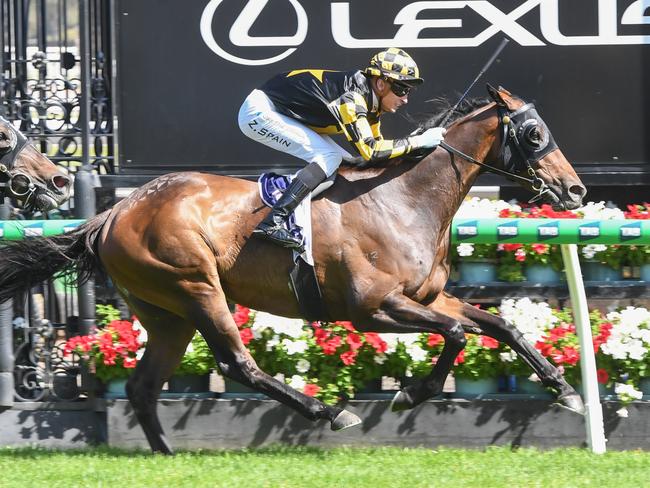 Grand Pierro ridden by Zac Spain wins the Bagot Handicap at Flemington Racecourse on January 01, 2025 in Flemington, Australia. (Photo by Brett Holburt/Racing Photos via Getty Images)