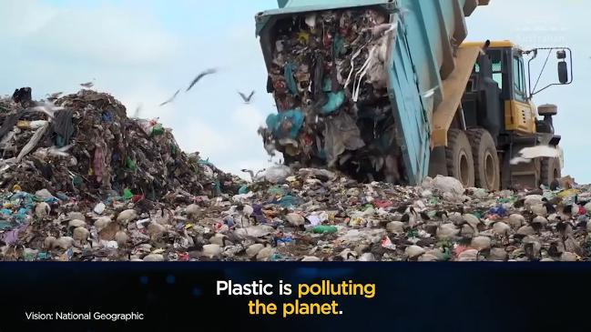 Planet or Plastic?