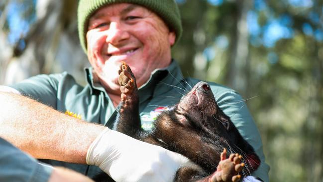 Operations Manager Dean Reid holding a devil mother for a pouch check.